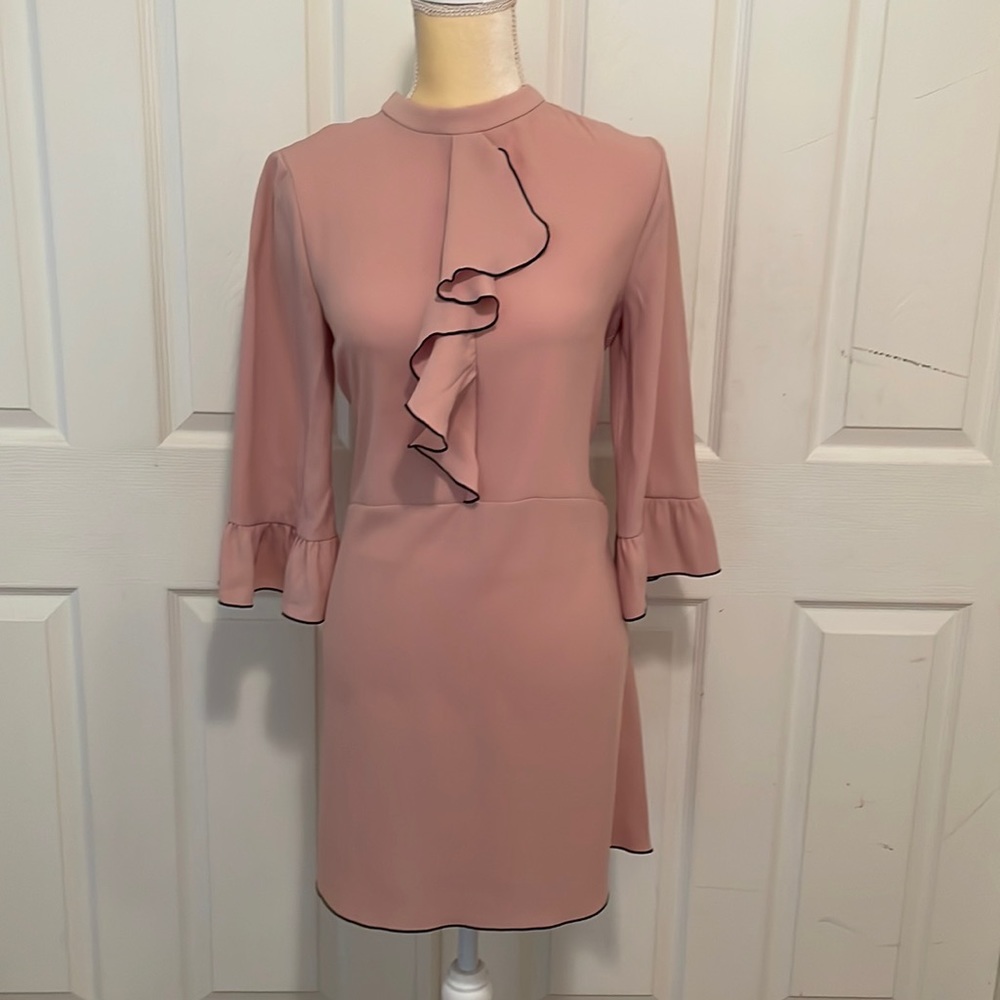 Zara Pink Ruffle Dress